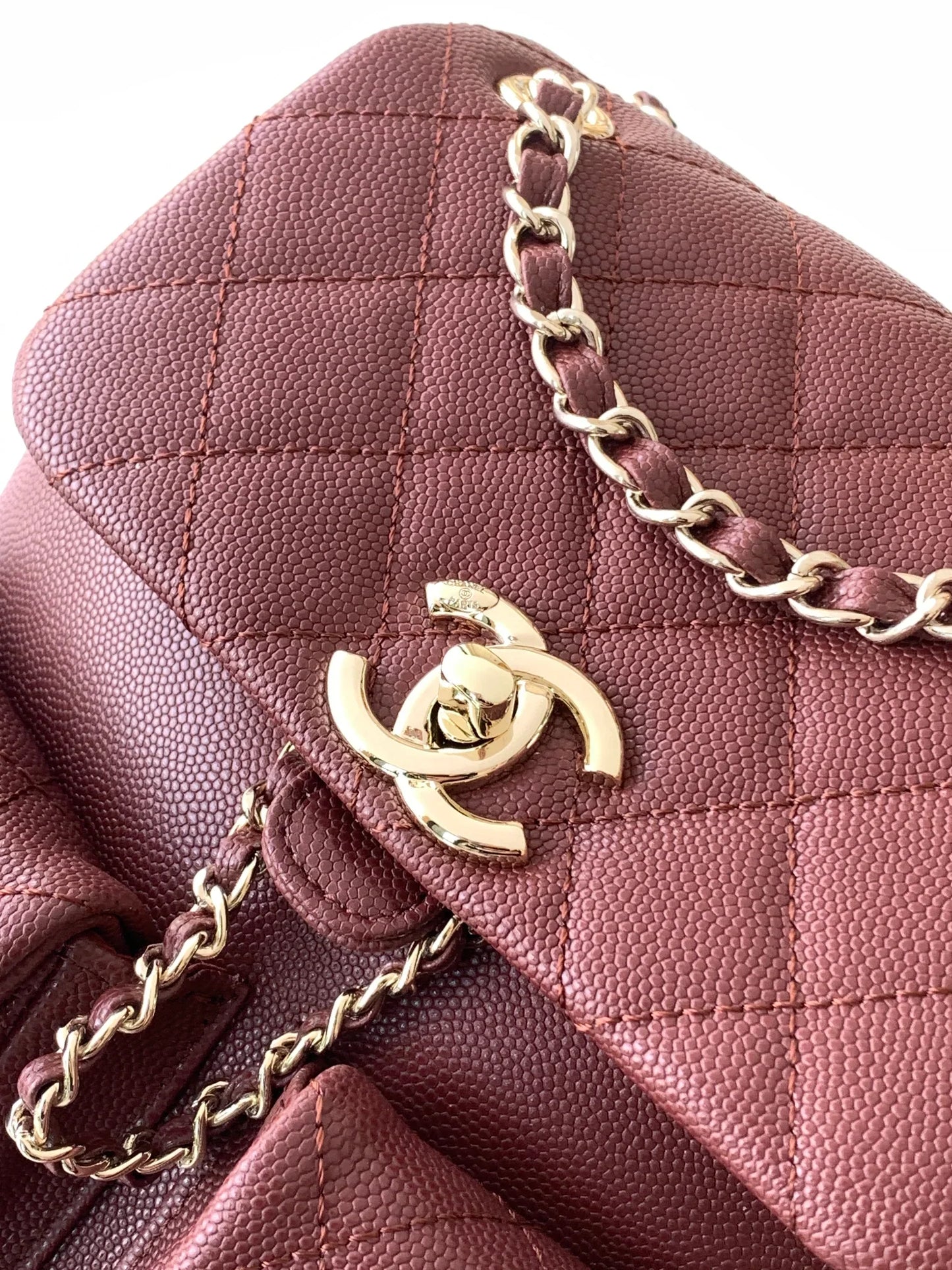 Compact Grained Leather Backpack (21cm) – Champagne Gold Hardware